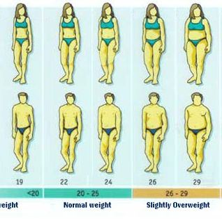 26 bmi BMI Chart